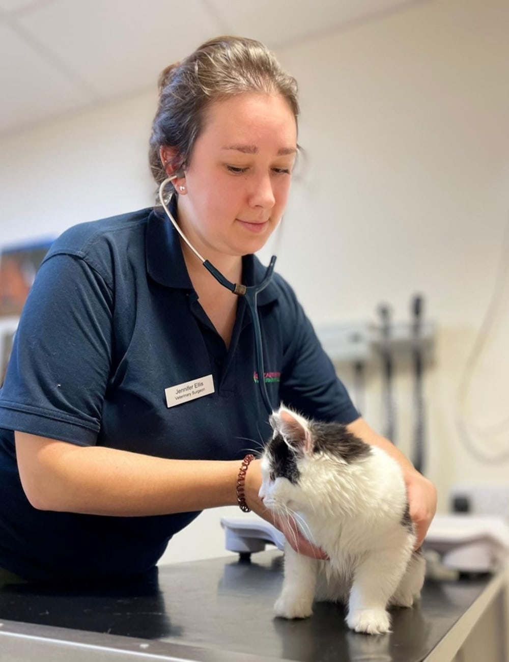 Abbie and Alex performing an ultrasound scan on a dog at Elizabeth Smith Veterinary Practice