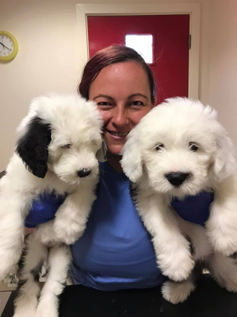 Caring for Pets